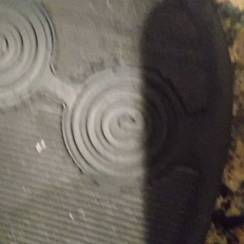 Shoes - Picture 6 of 8